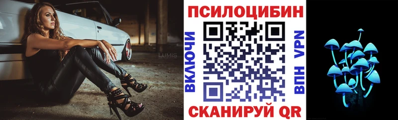 Купить где  Иланский  Псилоцибиновые грибы GOLDEN TEACHER 