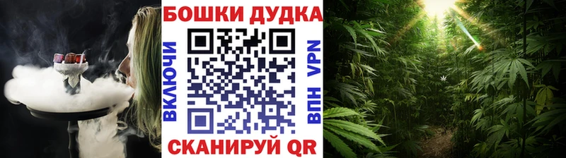 Купить где  Иланский  Бошки Шишки индика 